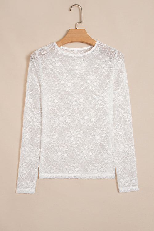 Beige Long Sleeve Mesh Lace Top