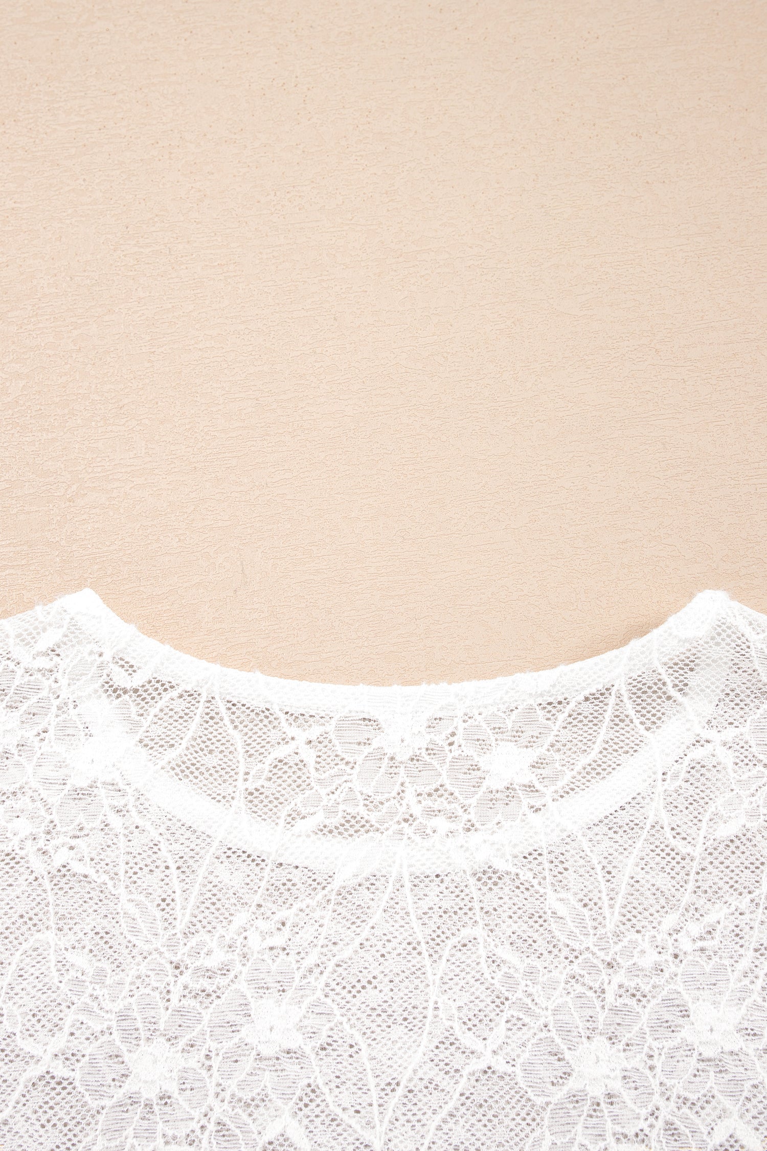 Beige Long Sleeve Mesh Lace Top